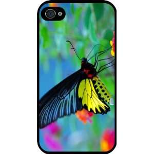  Rikki KnightTM MultiColor Butterfly Black Hard Case Cover 