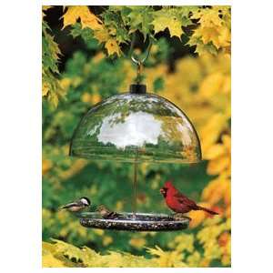  Dorothys Cardinal Feeder