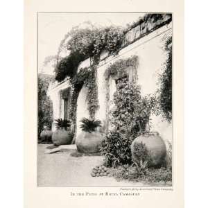  1910 Print Patio Hotel Camaguey Plants Wildlife Cuba World Heritage 