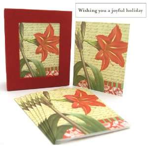  Holiday Keepsake Boxed Card   Amaryllis: Arts, Crafts 
