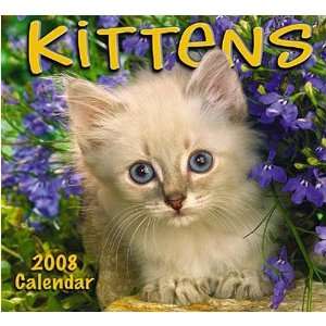  Kittens 2008 Mini Wall Calendar
