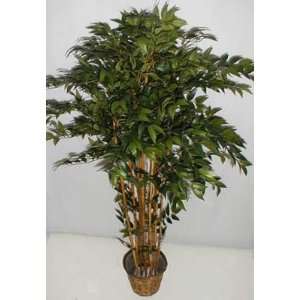  70 Real Wood Lion Bamboo Tree