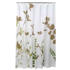  Amanda Green Shower Curtain: Home & Kitchen