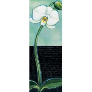  White Orchid by Chantal Godbout 7x20