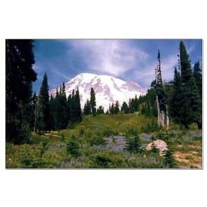  Mt. Rainier Poster large Photography Large Poster by 