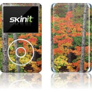  Fall Colors skin for iPod Classic (6th Gen) 80 / 160GB 