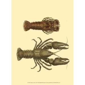  Antique Lobster III   Poster by James Sowerby (10x13 
