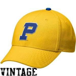 Nike Pittsburgh Panthers Old Gold Vault Big Time Legacy 91 Swoosh Flex 