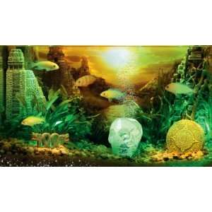 Hydor Lost Civilizations Skull Aquarium Decor H2ShOw  