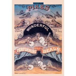  Pikes Wonderful Performing Seals 12x18 Giclee on canvas 