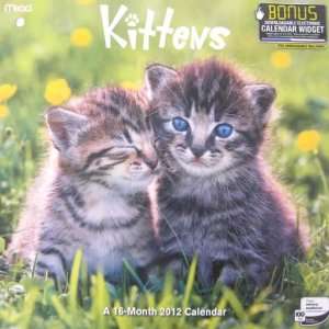  Kittens 2012 Wall Calendar