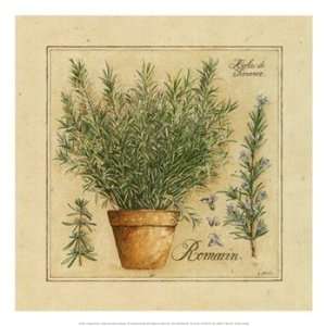 Herbes De Provence, Romarin   Poster by David Laurence (13 x 13 