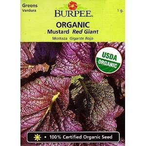  Burpee Organic Red Giant Mustard Seeds   1 gram: Patio 