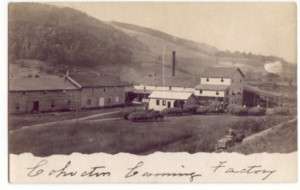 Cohocton, NY New York 1910 RPPC Postcard Canning Plant  