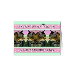  Birthday, 73, Funny, Her, Herding Cats Card: Toys & Games