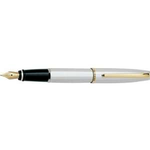   Barrel and Chrome Cap with Gold Trim Fountain Pen