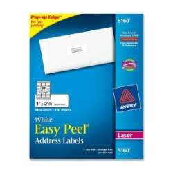 Avery Dennison 5160 Address Labels (Box of 3000)  Overstock