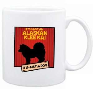  New  If It Is Not A Alaskan Klee Kai  It Is A Dog 