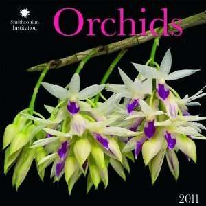   Orchids   Smithsonian Institution 2011 Wall Calendar