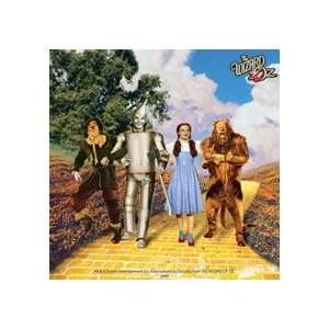   : Wizard of Oz Characters single drinks mat / coaster: Home & Kitchen