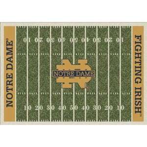   : NCAA Home Field Rug   Notre Dame Fighting Irish: Sports & Outdoors