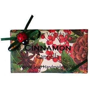  Alchimia Natural Cinnamon 10.6 Oz. Single Soap From Italy Beauty