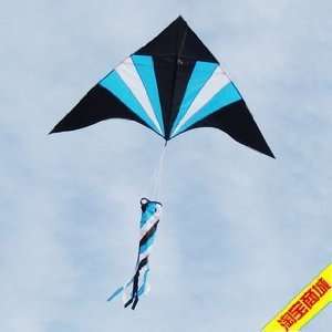   genuine kite the new kite delta kite tail export sector Toys & Games