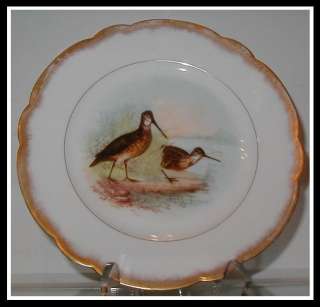 Rare Antique Limoges Porcelain Game Bird Plate D & C NR  