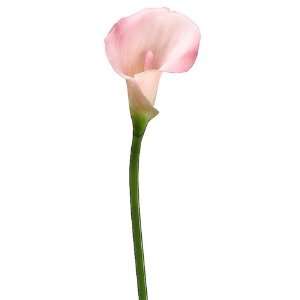  Faux 21 PVC Calla Lily Stem Pink (Pack of 12): Patio, Lawn 