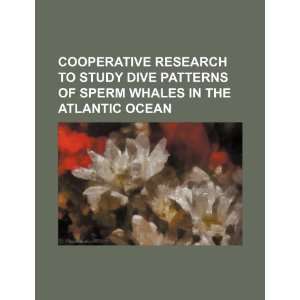  Cooperative research to study dive patterns of sperm whales 