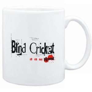Mug White  Blind Cricket IS IN MY BLOOD  Sports  Sports 