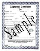 Item comes with Appraisal Certificate