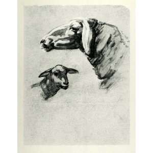   Agricultural Farm Animals   Original Halftone Print