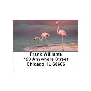  Pink Flamingo Address Labels