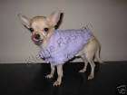 Chihuahua Hundepullover Pullover Pulli Jacke LILA XS