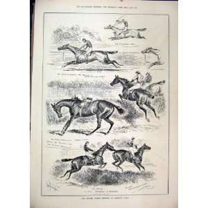   1884 Spring Meeting Sandown Park Horse Racing Jumping