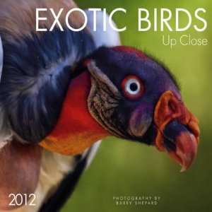  Exotic Birds 2012 Wall Calendar