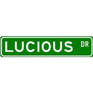 LUCIOUS Street Sign ~ Personalized Family Lastname Sign ~ Gameroom 