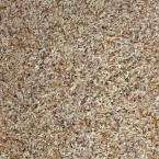 Flooring   Carpet & Carpet Tile   Carpet Tile   Twist   at The Home 