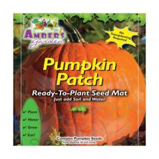 Ambers Garden, Inc. Easy Seed Starting Kit, No Transplanting Pumpkin 