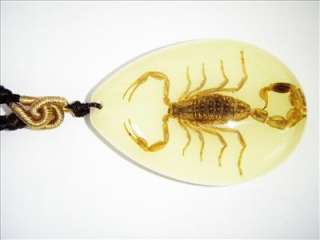 Insect Necklace   Chinese Golden Scorpion (Glow)  