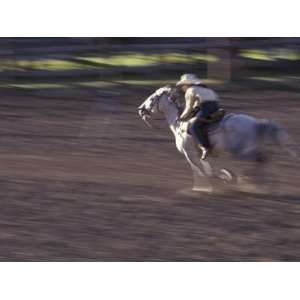  Cowgirl Rides Horse in Barrel Race Rodeo Competition, Big 