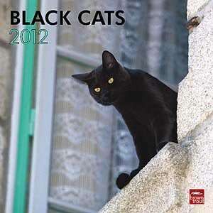  2012 Black Cats Calendar: Office Products