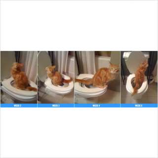 CitiKitty Cat Toilet Training Kit CK01 858878002004  