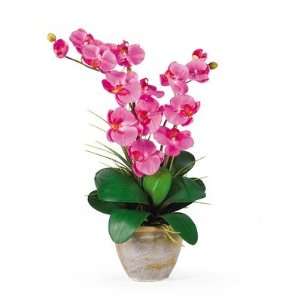   1026 DP Double Phalaenopsis Silk Orchid Arrangement in Dark Pink