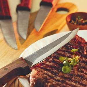  Basics 4 Pc Steak Knife Set (Walnut): Home & Kitchen