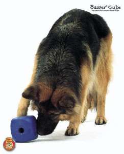 Buster Cube Dog Toy Treat/Food Feeder Puzzle Large NEW  
