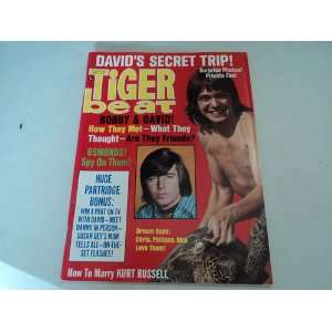 Tiger Beat Magazine April 1971 (Bobby Sherman, Ronny Howard, David 