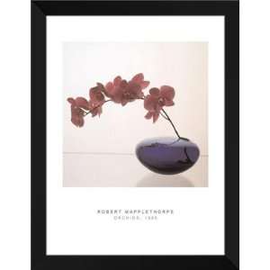 Robert Mapplethorpe FRAMED Art 28x36 Orchids, 1985