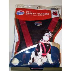  AUTO SAFETY HARNESS SIZE L 